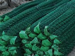 一.筛.滤网系列，乙烯网